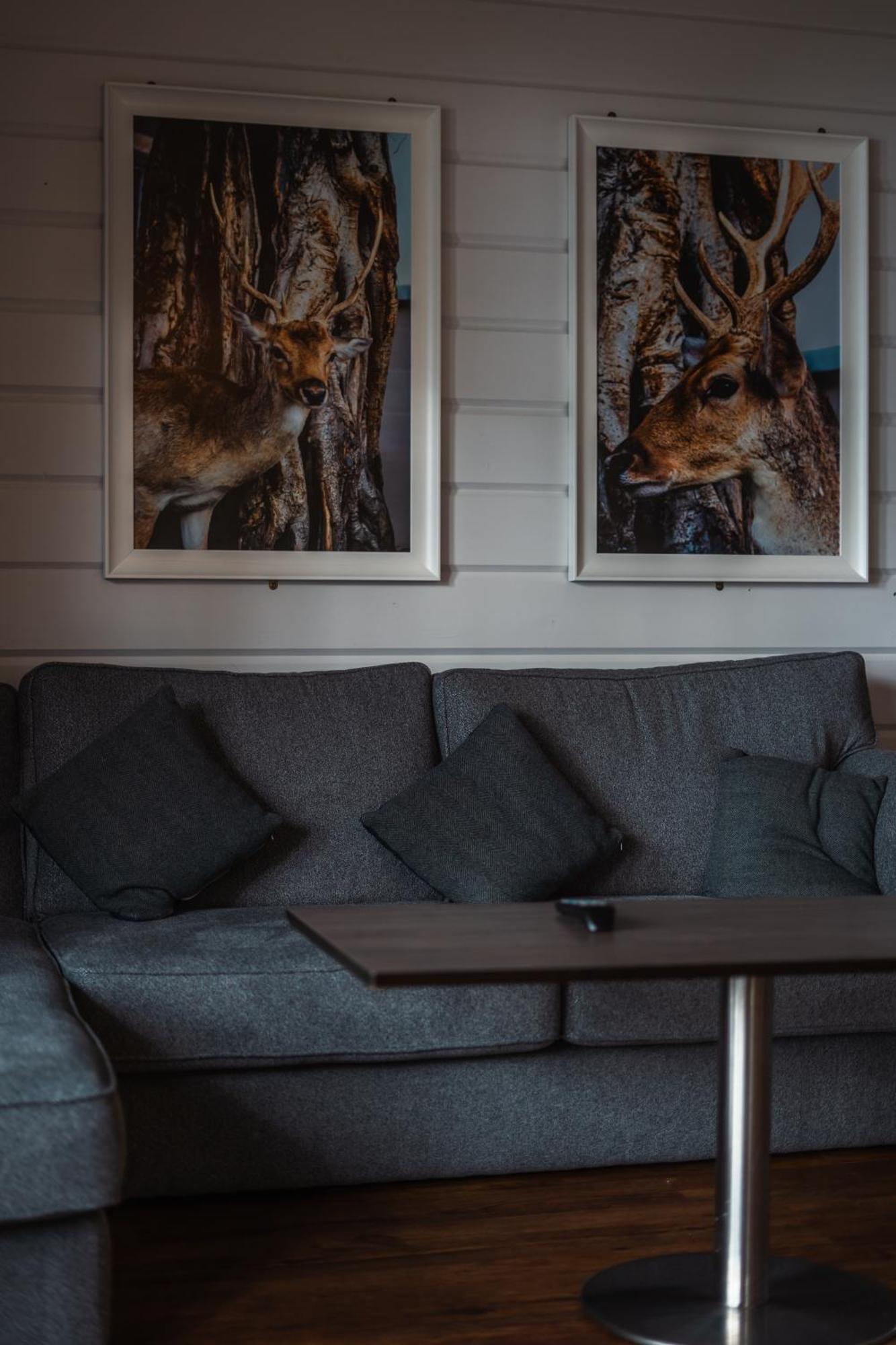 Hotel Lusty Beg Island Kesh Pokój zdjęcie
